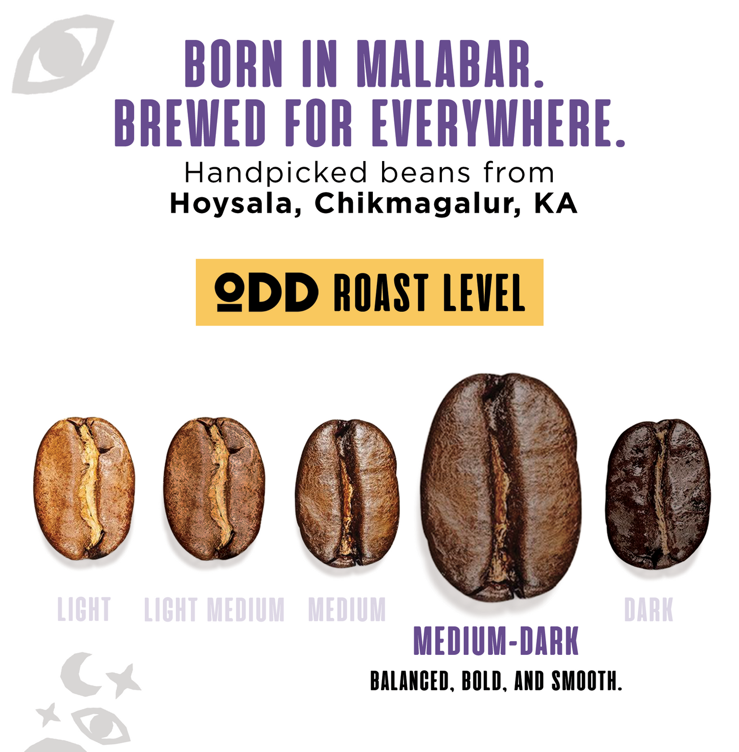 Monsooned Malabar Medium Dark Roast Pour Over Bags | No Equipment Needed (10 Cups)