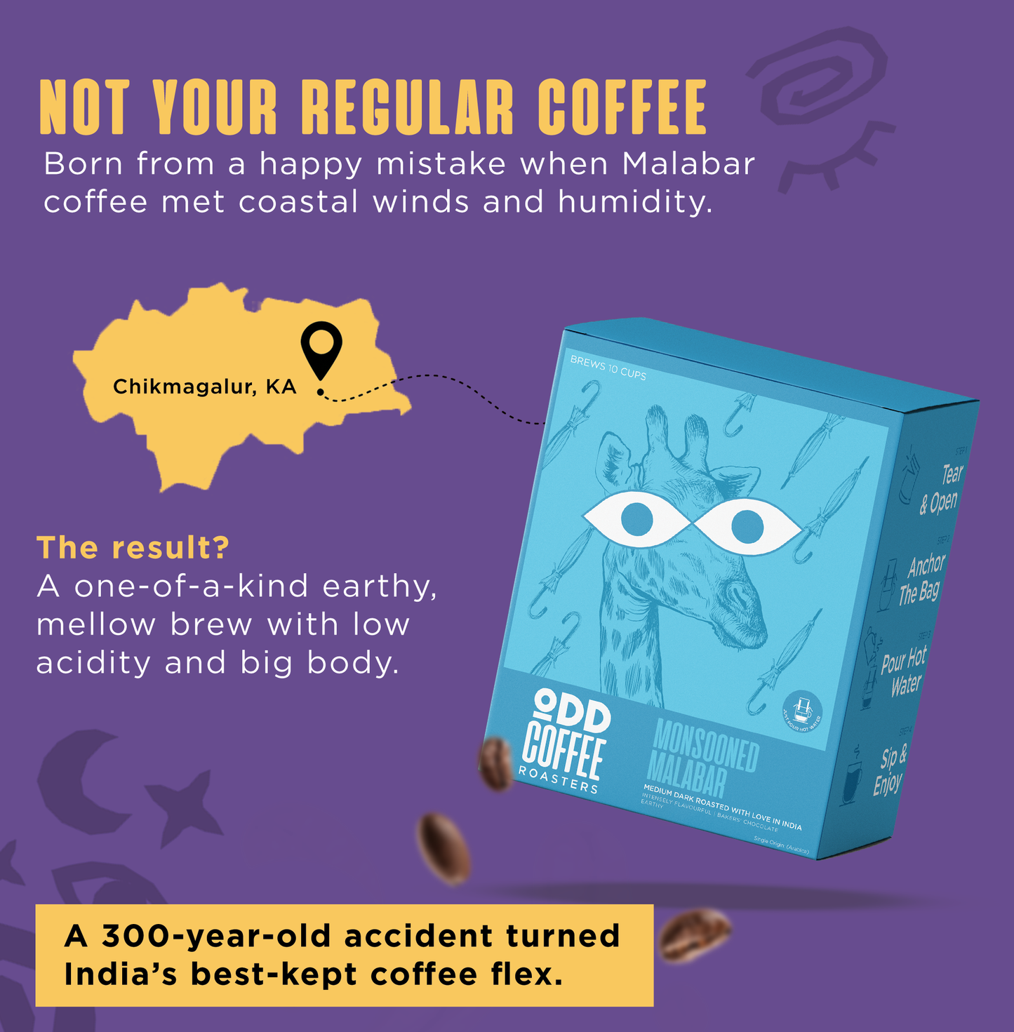 Monsooned Malabar Medium Dark Roast Pour Over Bags | No Equipment Needed (10 Cups)